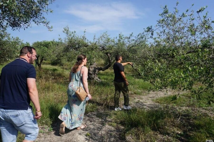 Crete: Full-Day Cretan Wines, Olive Oil, Raki and Food Tour - Lunch in a traditional village taverna