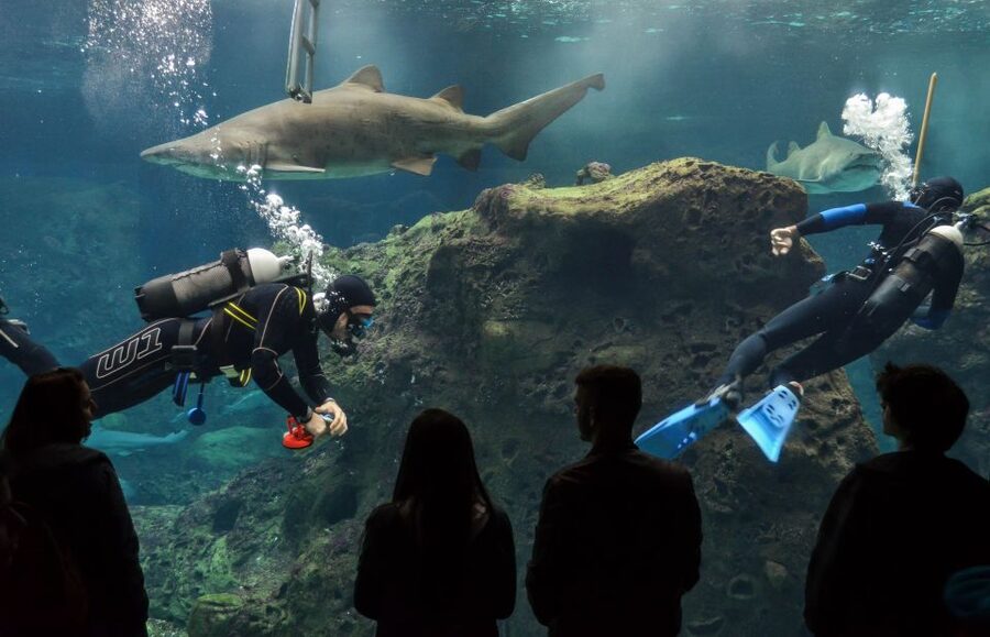 Crete: Heraklion Center, Local Market and Creta Aquarium - Key points to know before booking