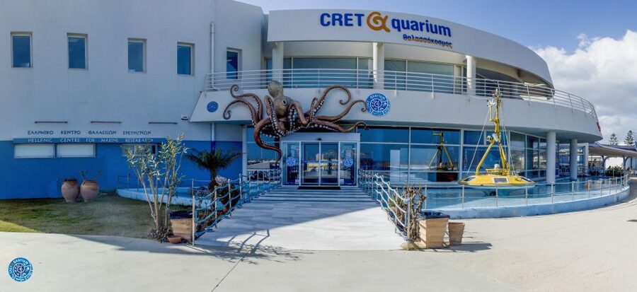 Crete: Heraklion Center, Local Market and Creta Aquarium - Cretaquarium: an 80-minute look beneath the sea