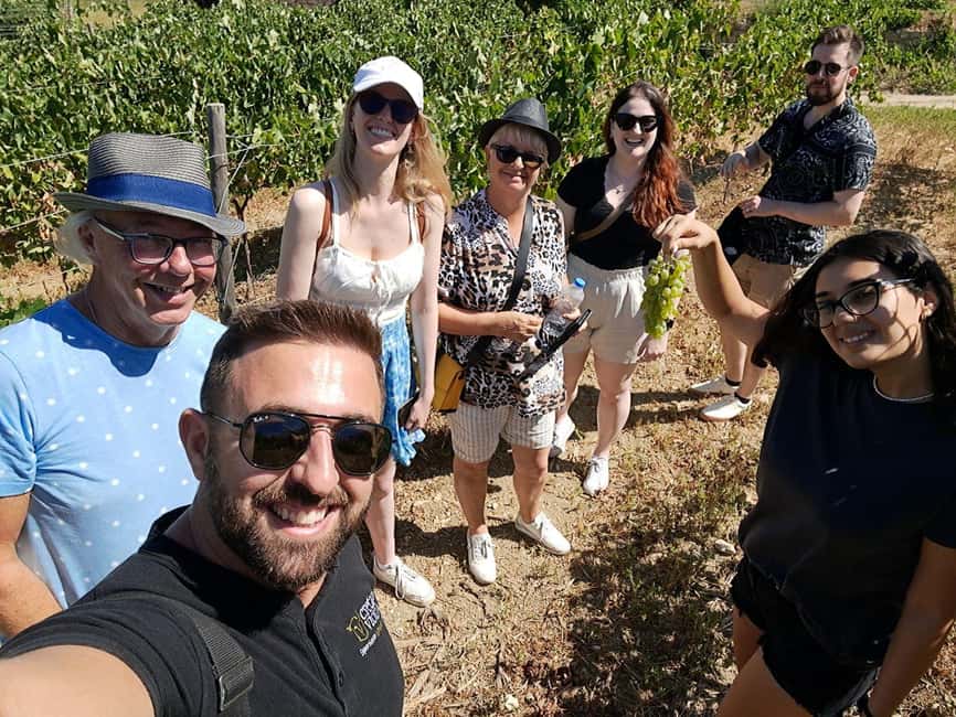 Crete: Knossos Palace, Winery & Olive Oil Tour with Lunch - Wine and olive oil in the Cretan countryside
