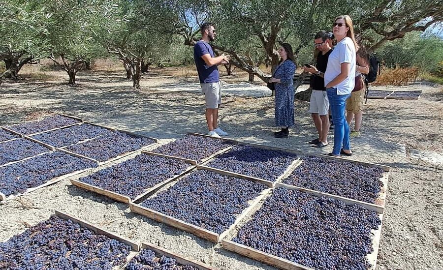Crete: Knossos Palace, Winery & Olive Oil Tour with Lunch - Is $123 a fair price?