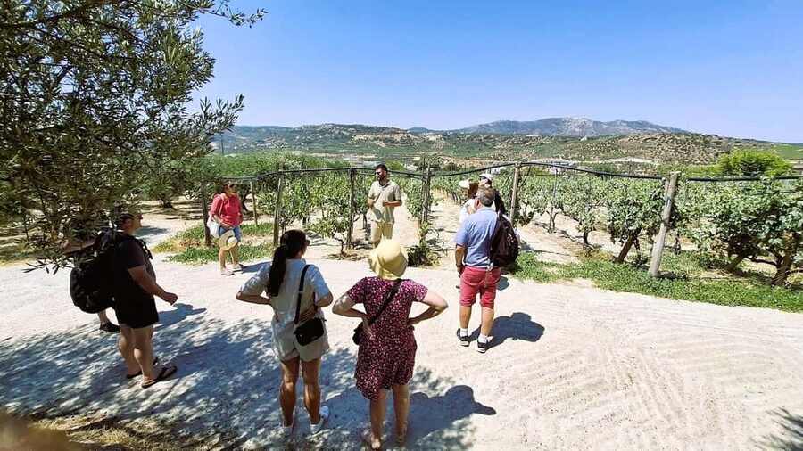 Crete: Knossos Palace, Winery & Olive Oil Tour with Lunch - Reaching Knossos early by air-conditioned van