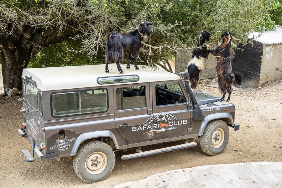 Crete: Land Rover Safari on Minoan Route - Key points to know before booking