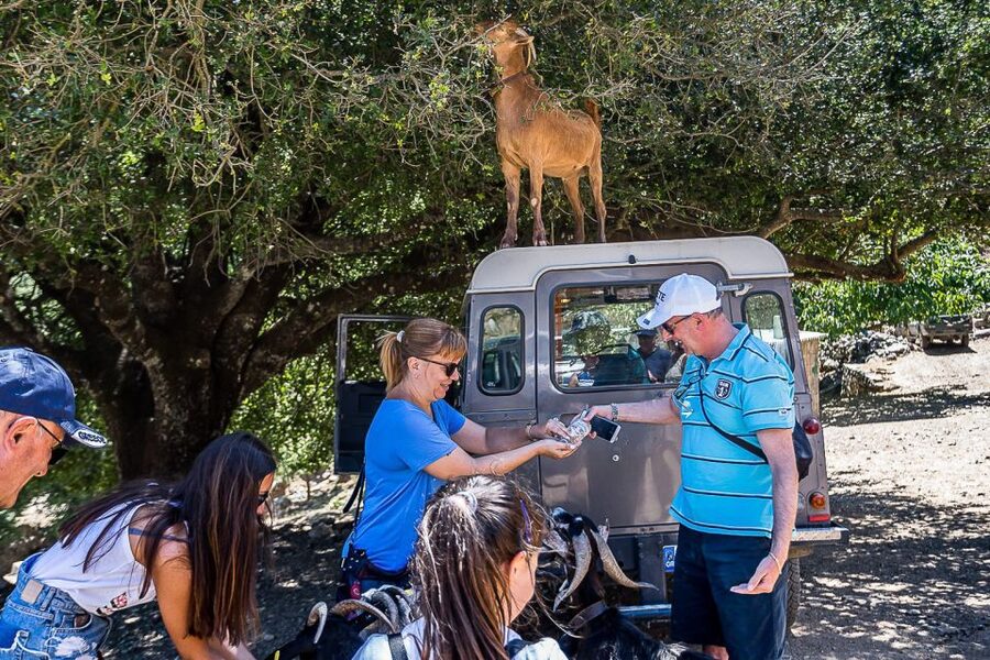 Crete: Land Rover Safari on Minoan Route - Life on the Lassithi Plateau