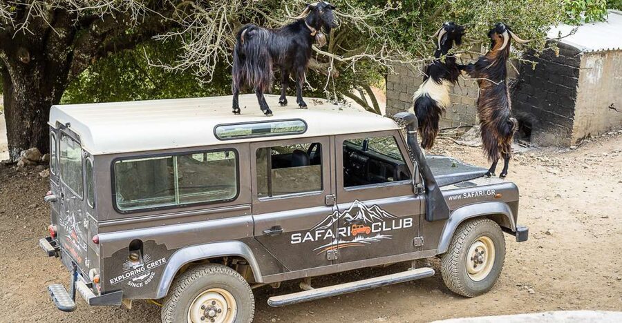 Crete: Land Rover Safari on Minoan Route - Why this safari gets you away from resort Crete