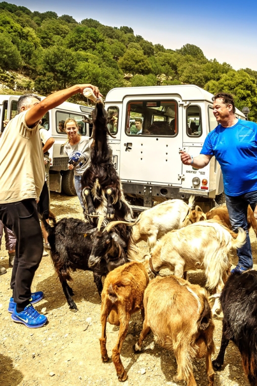Crete: Land Rover Safari on Minoan Route - Kastamonitsa and the first taste of local life