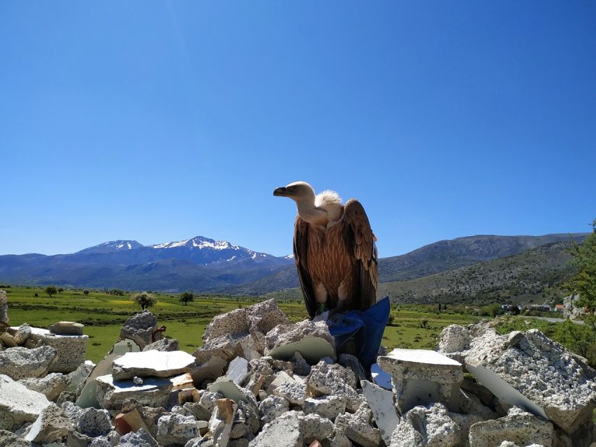 Crete: Lasithi Plateau and Cave of Zeus Off-Road Safari Tour - Seli Ambelou windmills and the climb to Zeus Cave