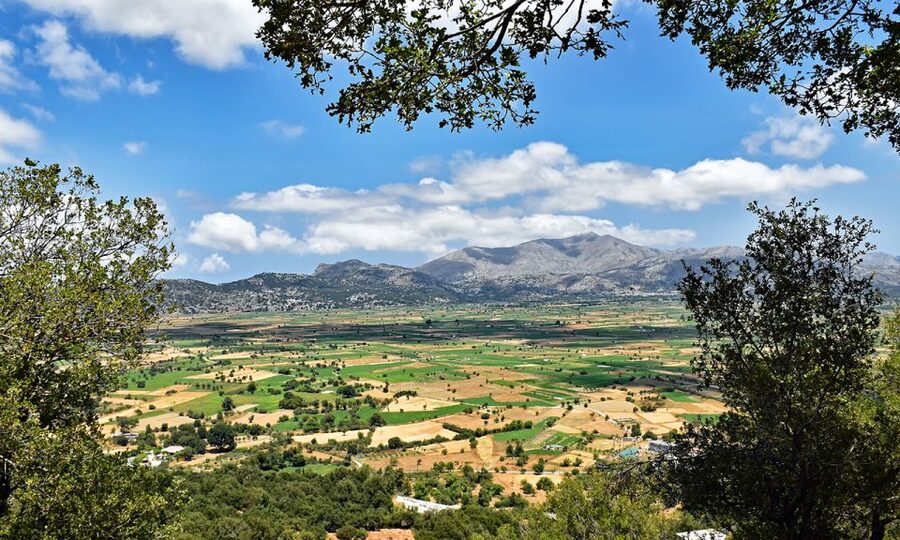 Crete: Lasithi Plateau & Knossos Palace Day Trip - Lunch at a traditional taverna