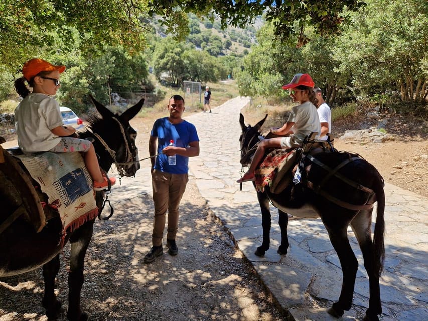 Crete: Lasithi Plateau Zeus Cave Guided Jeep Safari Tour - Diktaion Andron and the Zeus Cave