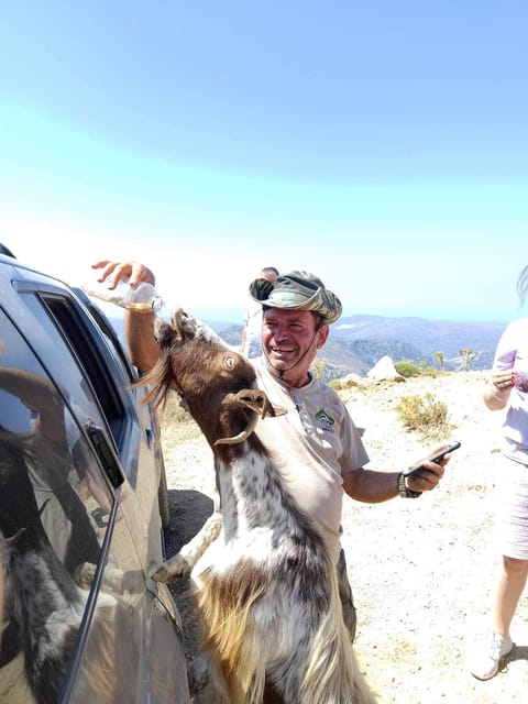 Crete: Lasithi Plateau Zeus Cave Guided Jeep Safari Tour - Lunch at a local village tavern