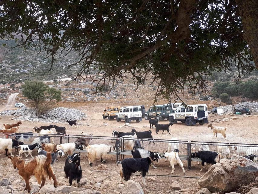 Crete: Lasithi Plateau Zeus Cave Guided Jeep Safari Tour - The 1,150-meter off-road mountain route