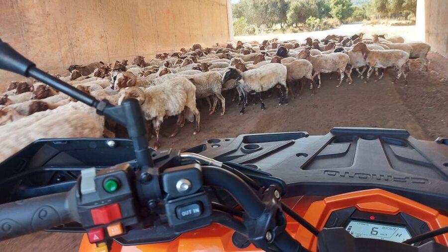 Crete: Off-Road Quad Safari with Lunch/Dinner - Milatos village and the rock-hewn cave