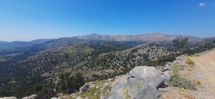 Crete: Olive, Wine, & Raki on a Flavorful Culinary Journey - Who should book this Cretan food day?
