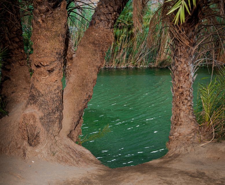 Crete: Preveli Tropical Beach and Palm Forest - Why Preveli is worth the trip from Heraklion