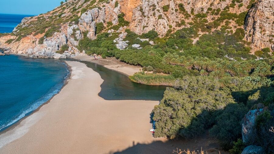 Crete: Preveli Tropical Beach and Palm Forest - The Grand River and Theophrastus palms