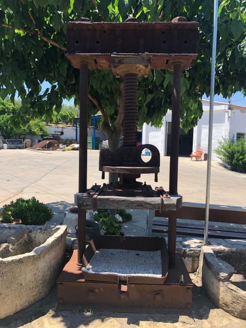 Crete Private Tour: The Secrets of Wine, Olives & Honey - Paraschakis Olive Oil and the work behind extra virgin oil