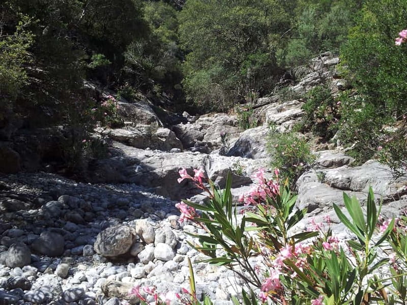Crete: Richtis Waterfall Full-Day Tour with Olive Tasting - Who will enjoy this Crete excursion?