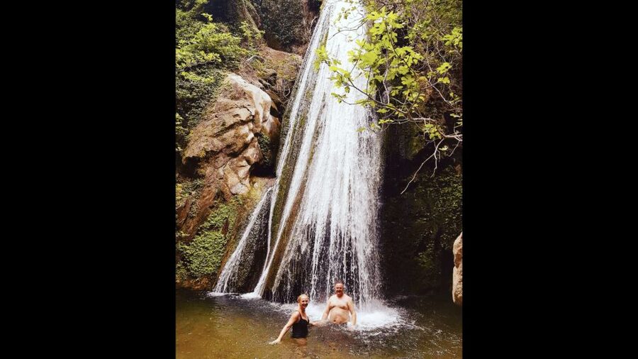 Crete: Richtis Waterfall Full-Day Tour with Olive Tasting - The ancient olive tree and olive oil stop