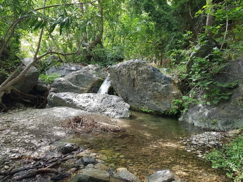 Crete: Richtis Waterfall Full-Day Tour with Olive Tasting - Small-group comfort and guide quality