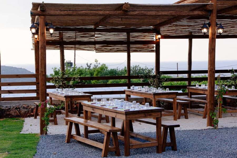 Crete: Road-trip to Lasithi Plateau & Olive Mill Farm - Krasi, its springs, and a 2,400-year-old tree