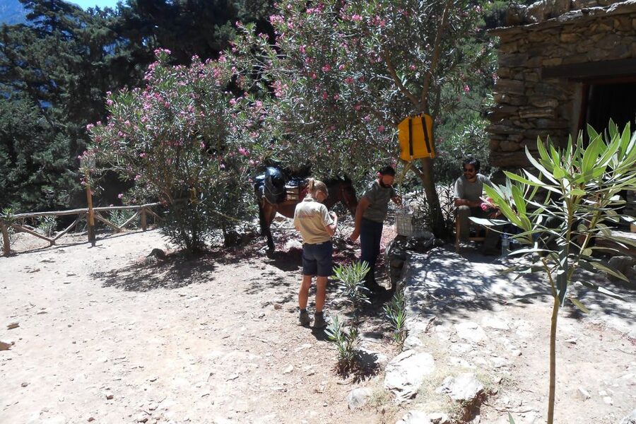 Crete: Samaria Gorge Hiking with transfer and expert Escort - Key points at a glance