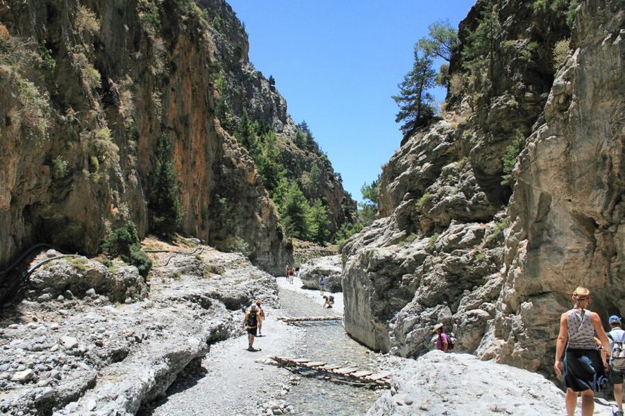 Crete: Samaria Gorge Hiking with transfer and expert Escort - Starting above the gorge on the Omalos Plateau