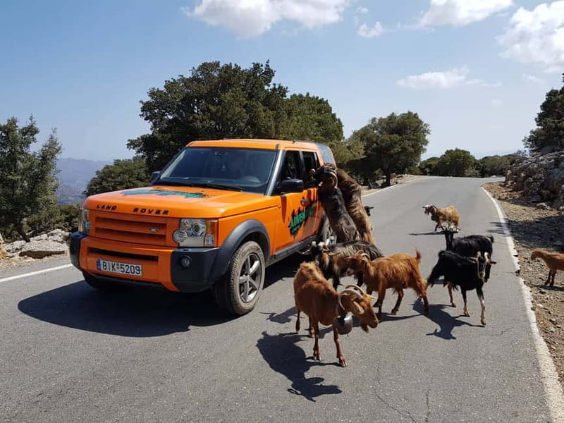 Crete: Sarakina Gorge, Forests, and South Coast Safari - The day in five memorable moments