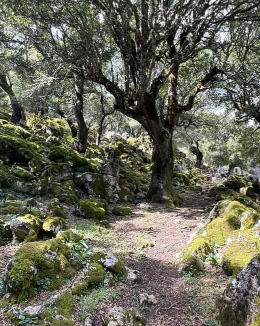 Crete: Sarakina Gorge, Forests, and South Coast Safari - Finishing beside the Libyan Sea