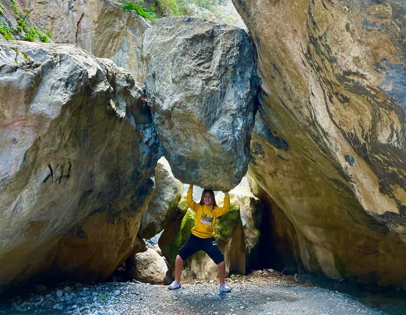 Crete: Sarakina Gorge, Forests, and South Coast Safari - Olive oil, Agios Nikolaos, and the taste of Crete