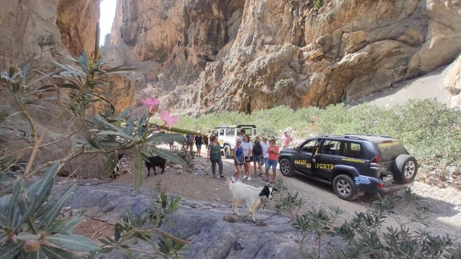 Crete: Trypiti Beach Off-Road South Tour w/ Lunch & Wine - St. Savvas Canyon and the route toward Trypiti