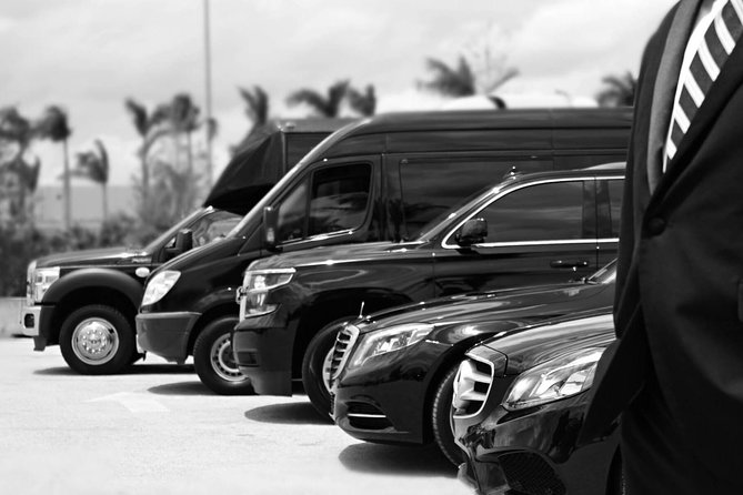 Economy Arrival Transfers From Santorini Airport To All Destinations - Why The Meet-and-Greet Matters