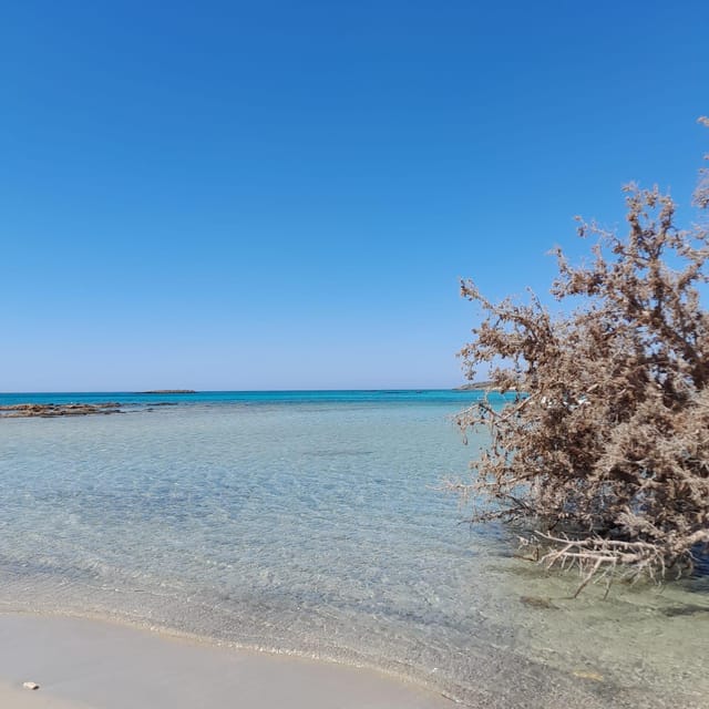 Elafonissi: Private Beach Day Trip with SUP - Who will enjoy this Elafonissi outing?
