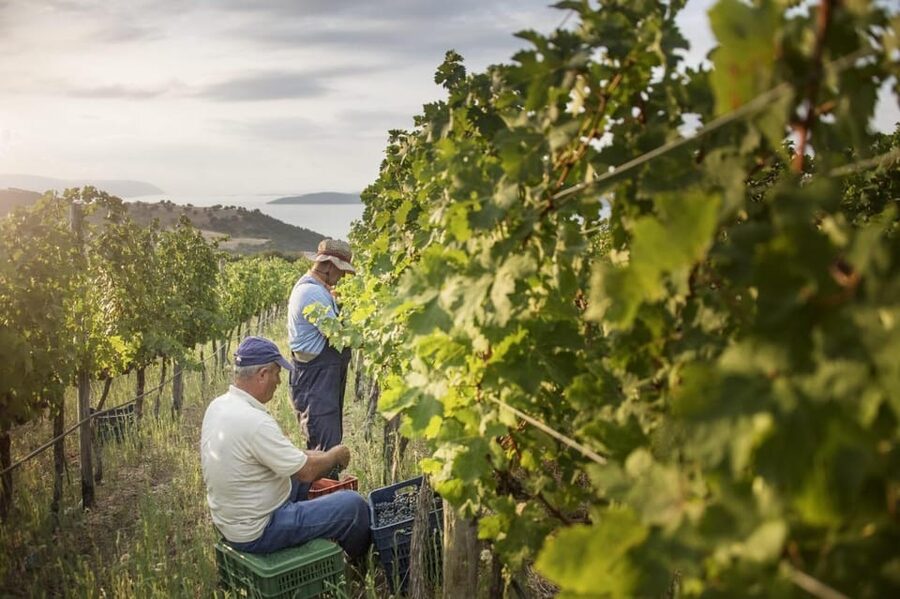 Evening of Wine and Scenic Views in Skiathos - Key things to know before booking