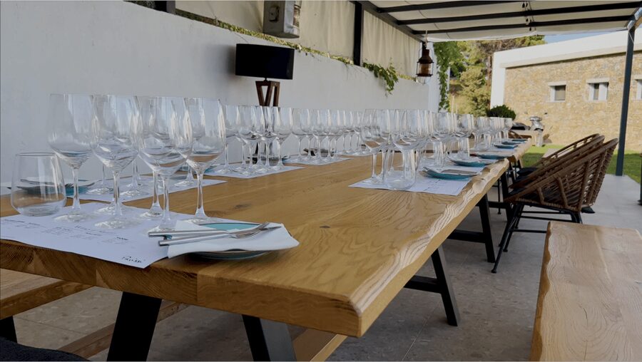 Evening of Wine and Scenic Views in Skiathos - A Greek wine evening above Skiathos Town