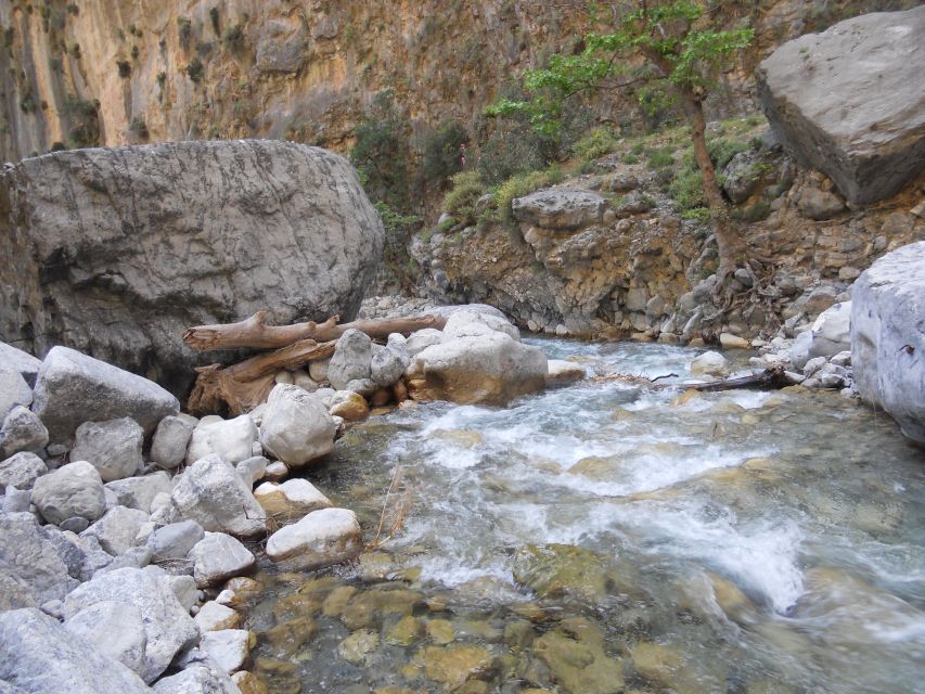 From Agia Galini/Matala: Samaria Gorge Hiking Tour - Starting high at 1,200 meters