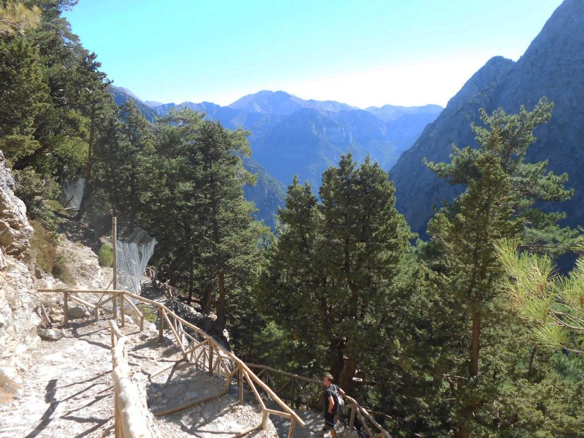From Agia Galini/Matala: Samaria Gorge Hiking Tour - Who should book this hike?