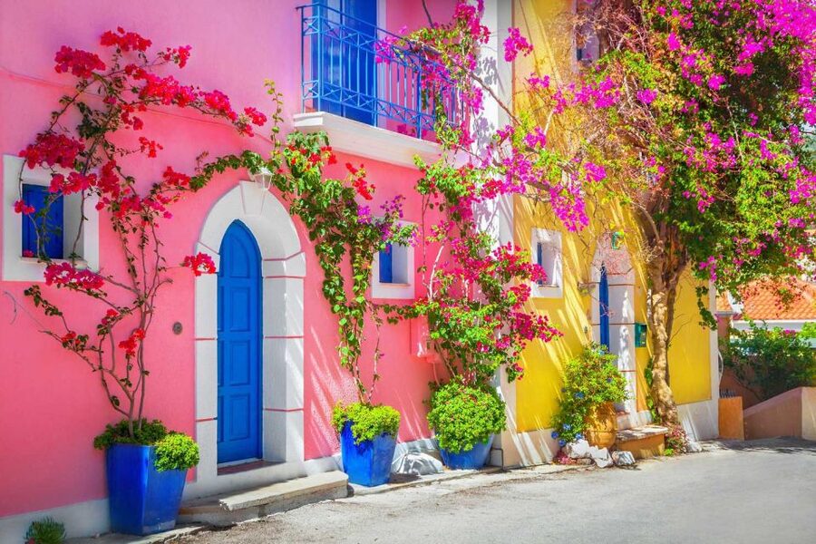 From Argostoli: Kefalonia Shore Excursion Highlights Tour - Orealios Gaea Winery and Kefalonia’s Robola