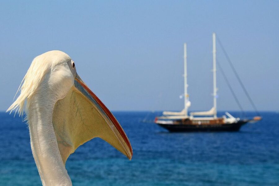 From Athens: 2-Day Santorini and Mykonos Trip - What the $583 price really buys you