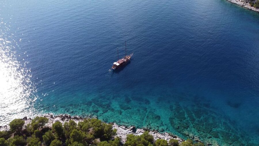 From Athens: Aegina, Agistri and Metopi Day Cruise w/ Lunch - What makes the service memorable