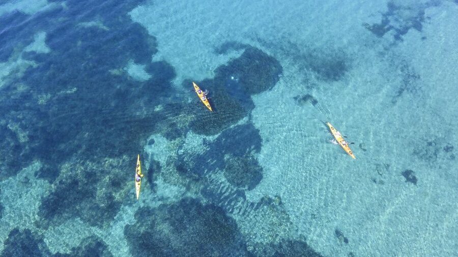 From Athens: Cape Sounion Guided Kayaking Tour with Lunch - Who Should Book This Experience?