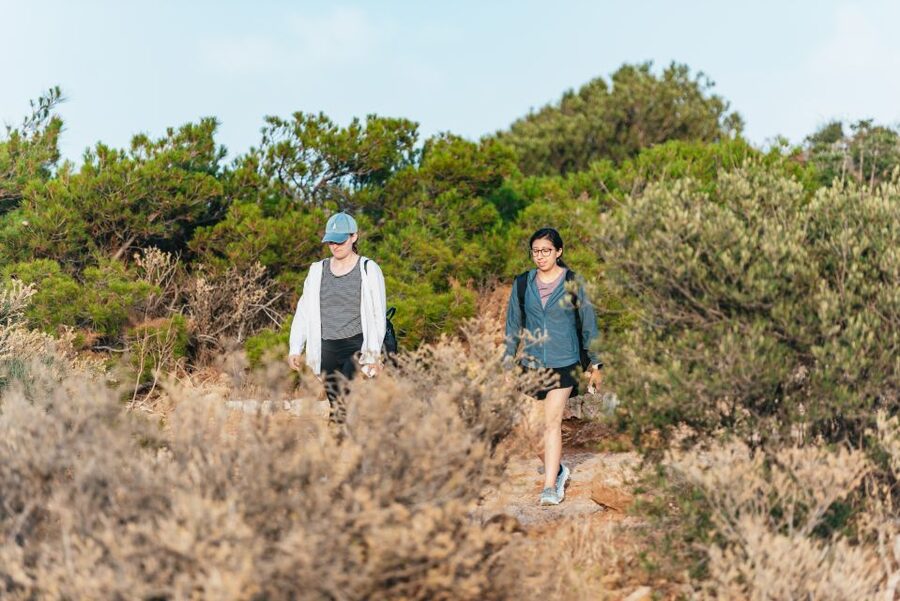 From Athens: Cape Sounion & Temple of Poseidon Half Day Tour - Arriving at Cape Sounion