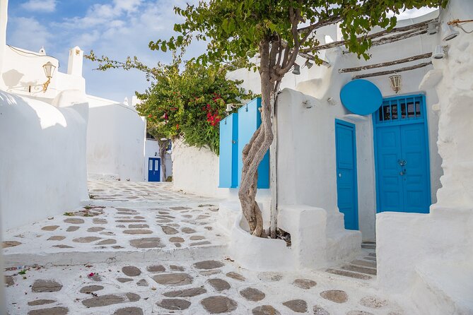 From Athens: Day Tour to Mykonos - A 60-Minute Walk Through the Famous Sights