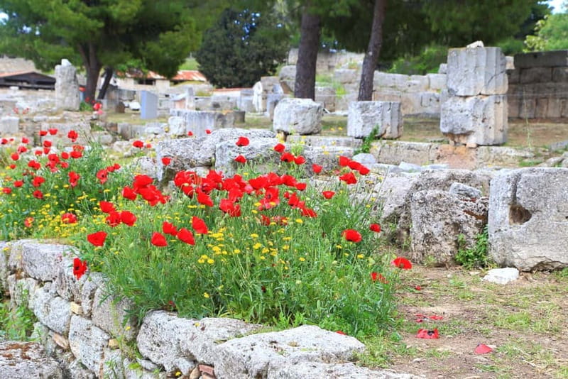 From Athens: Explore Ancient Corinth & Charming Nafplion - Who will enjoy this outing most