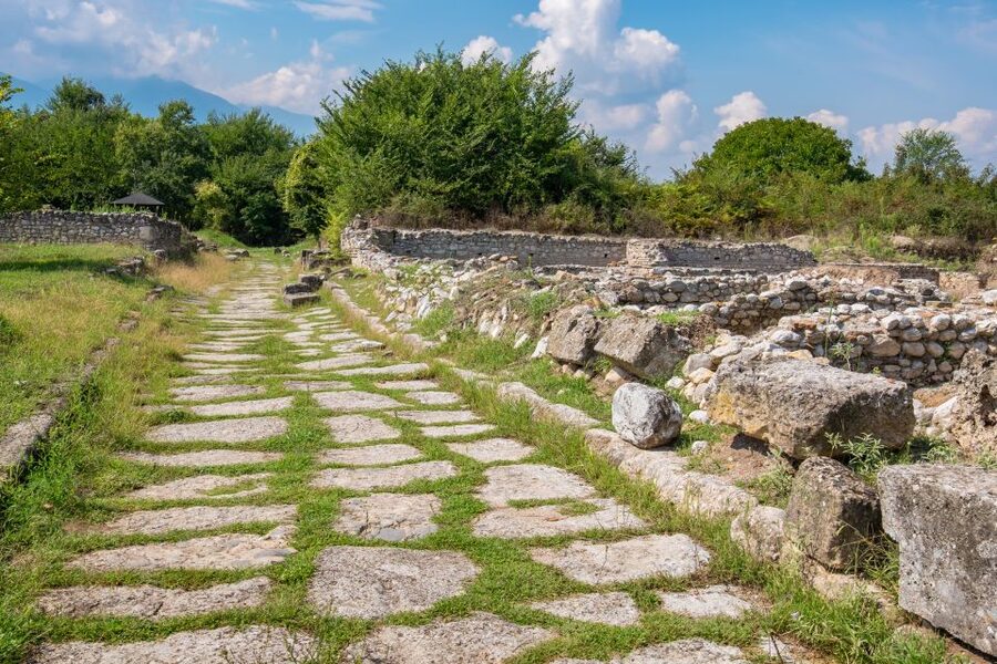 From Athens: Mt. Olympus National Park Guided Day Tour - A taste of local life in Litochoro