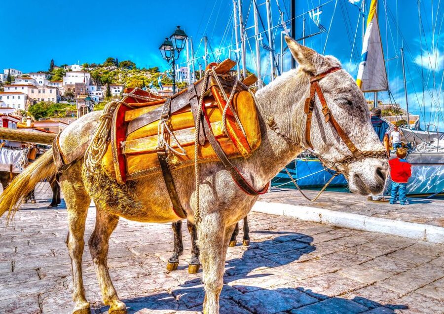From Athens: Saronic Islands Full-Day Cruise with VIP Seats - Food, drinks, and service at sea