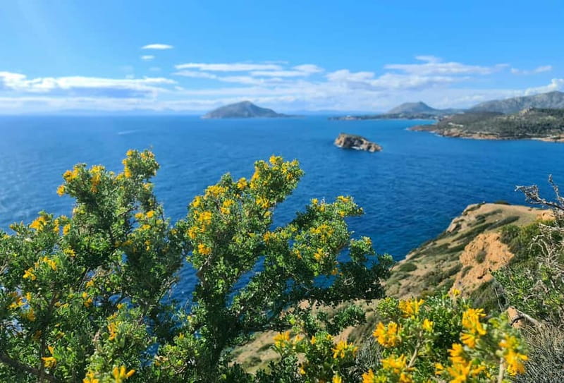 From Athens: Temple of Poseidon & Cape Sounion Half-Day Tour - Key points to know before booking
