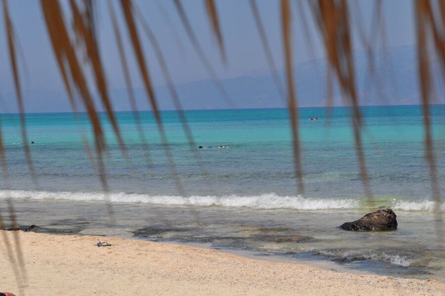 From Chania Area: Day Trip to Elafonisi Island by Bus - Key points to know before booking