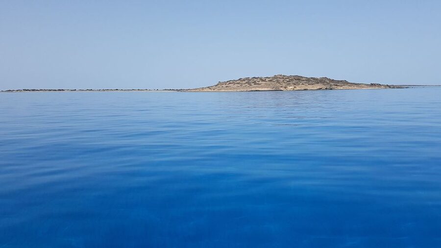 From Chania Area: Day Trip to Elafonisi Island by Bus - Coffee, local honey, and a practical break