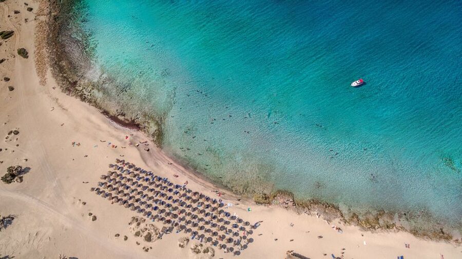 From Chania Area: Day Trip to Elafonisi Island by Bus - The guide, driver, and quality of the ride