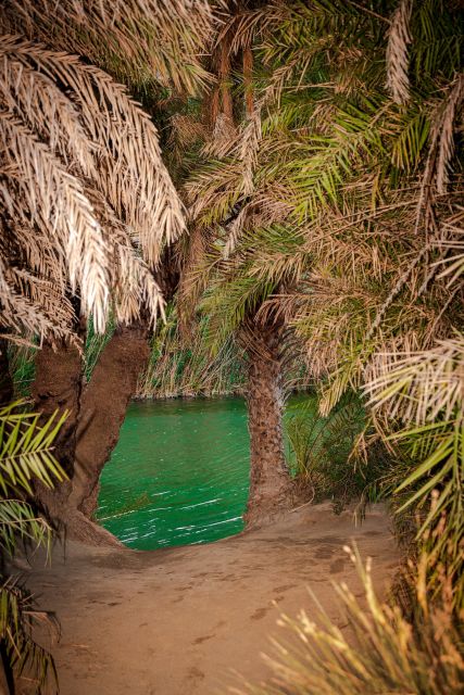 From Chania: Day Trip to Preveli Beach & Damnoni Beach - Kourtaliotiko Gorge is a roadside sight only
